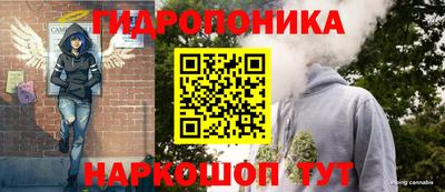 индика Жуковский