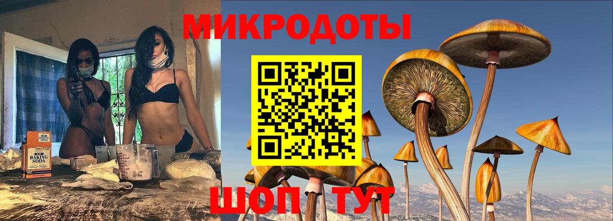 Псилоцибиновые грибы Psilocybe Лосино-Петровский